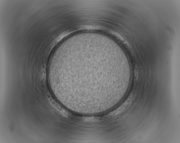 X0000110961025200907101323