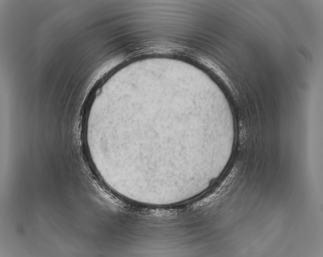 X0000110961026200907101323