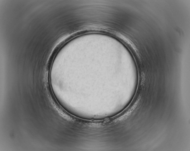 X0000110961029200907101323