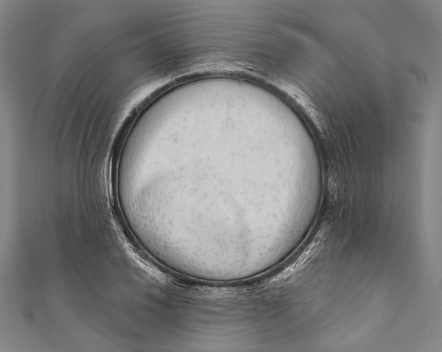 X0000110961030200907101323