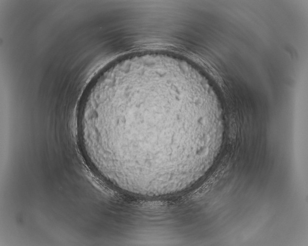 X0000110961031200907101323