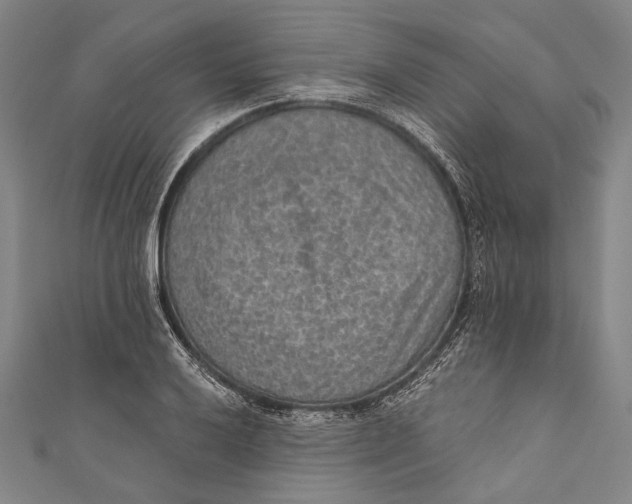 X0000110961032200907101323