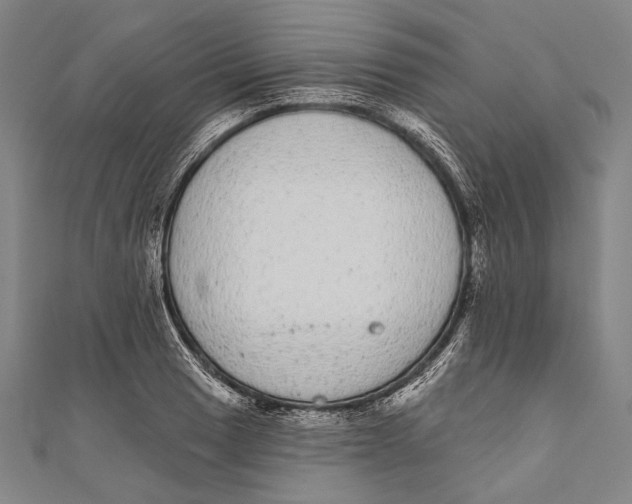 X0000110961033200907101323