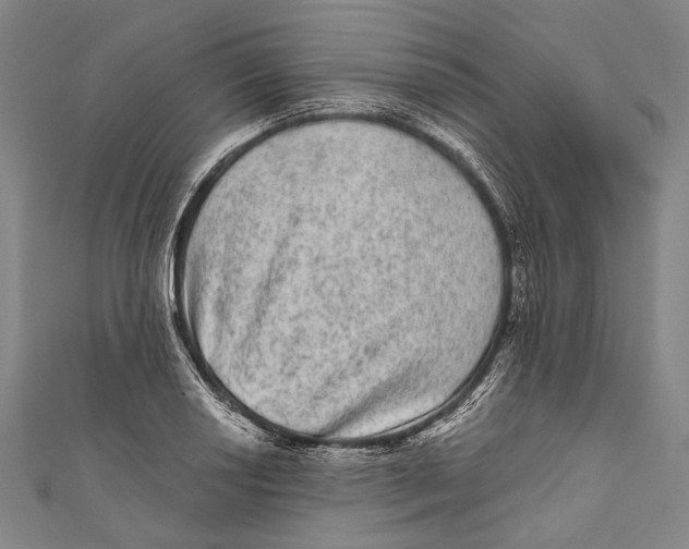 X0000110961034200907101323