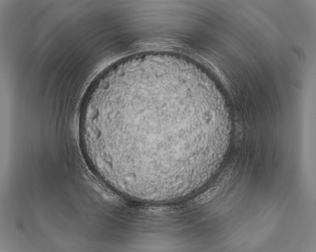 X0000110961035200907101323