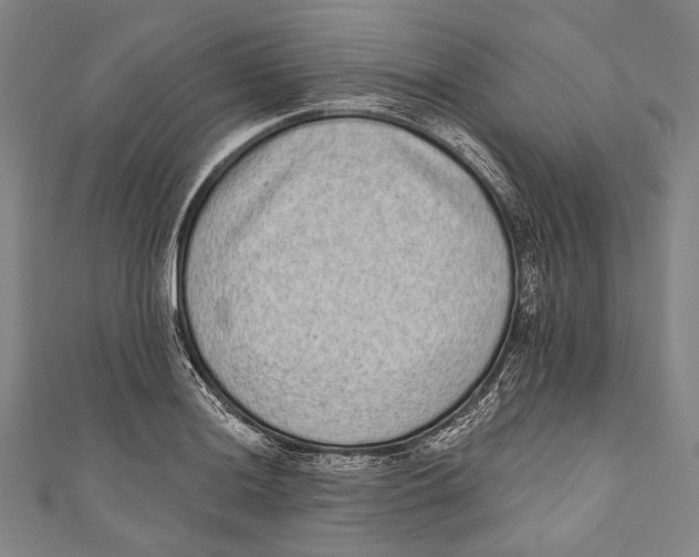 X0000110961036200907101323