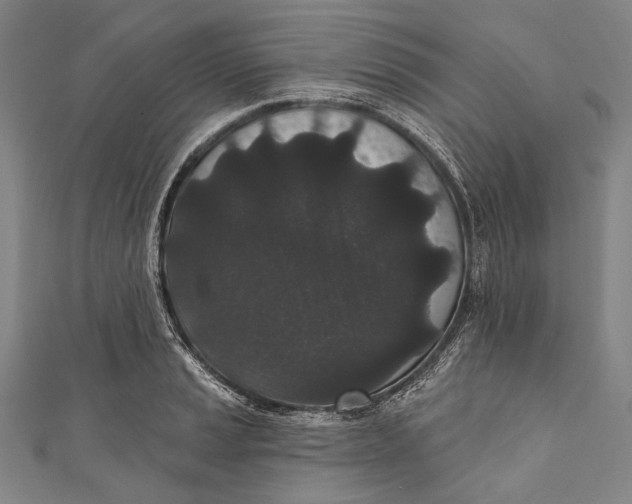 X0000110961037200907101323