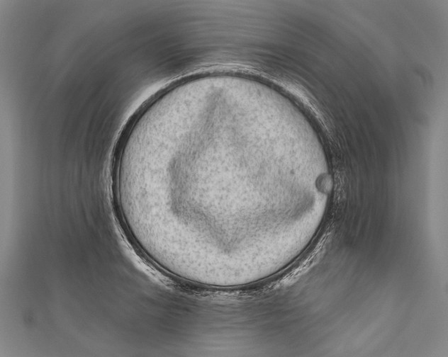 X0000110961038200907101323