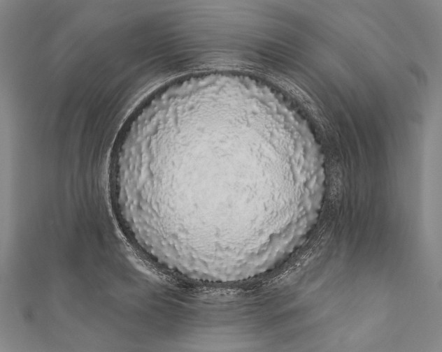 X0000110961039200907101323