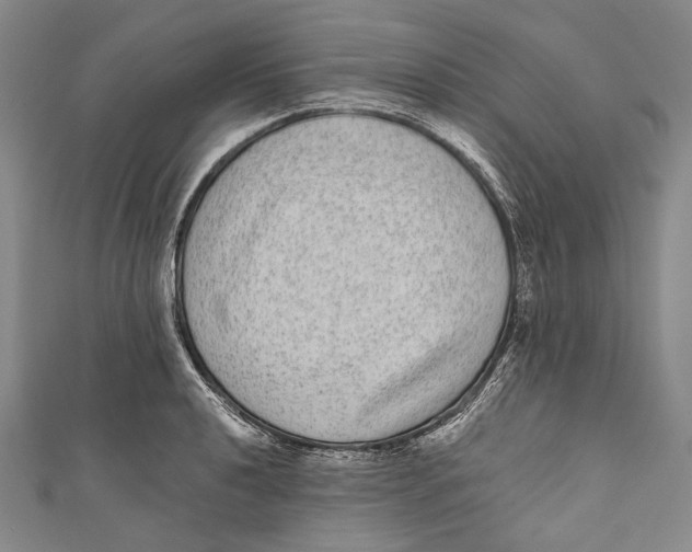 X0000110961040200907101323