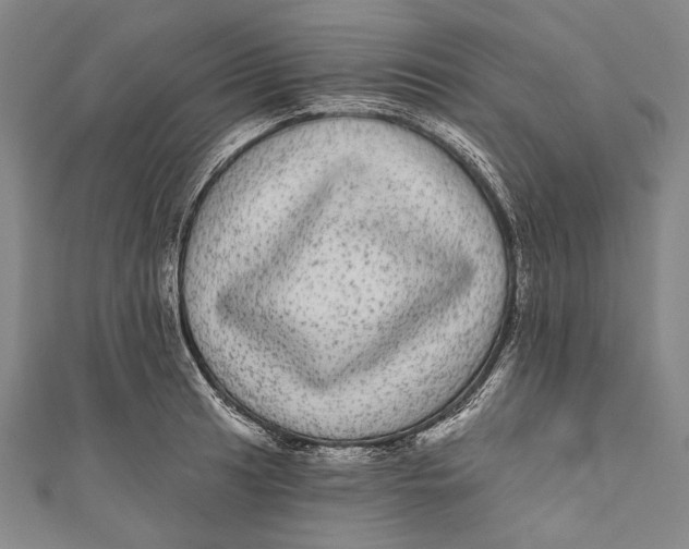 X0000110961041200907101323