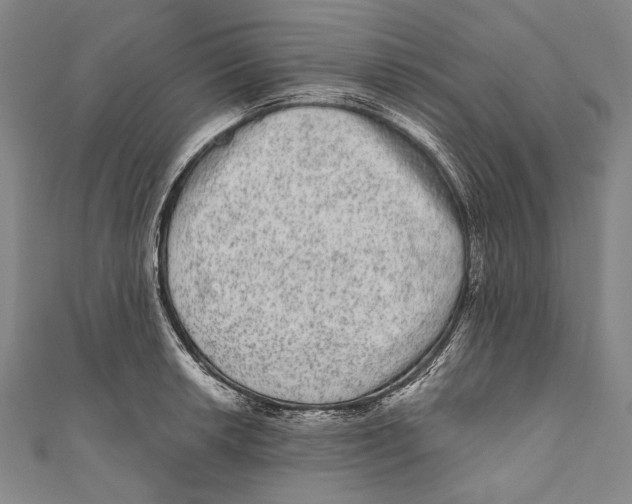 X0000110961042200907101323