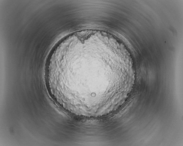 X0000110961043200907101323