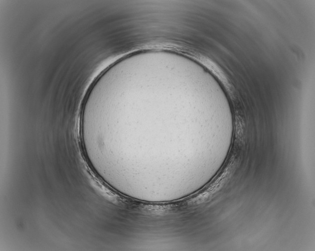 X0000110961044200907101323