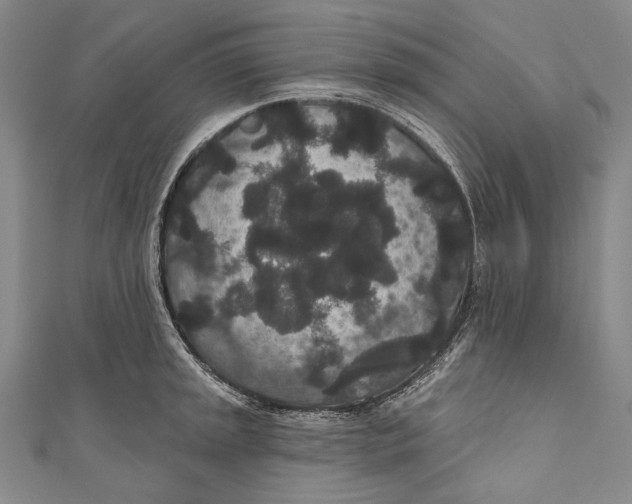 X0000110961045200907101323