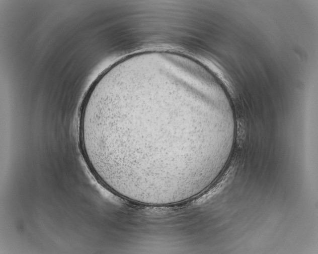 X0000110961046200907101323