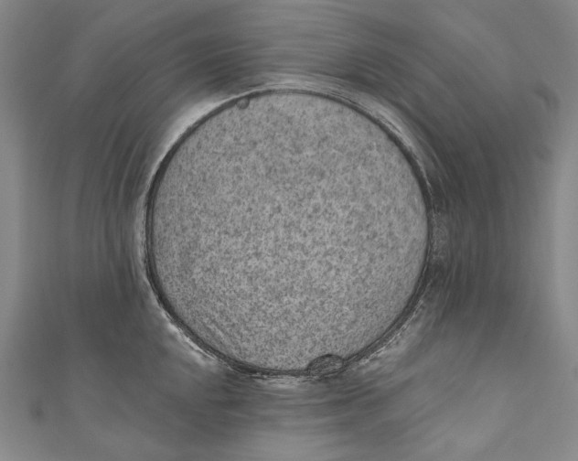 X0000110961048200907101323