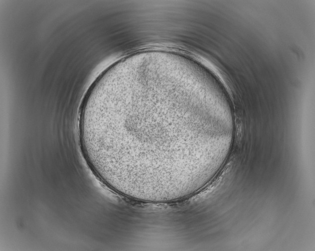 X0000110961050200907101323