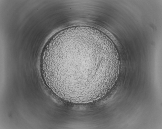 X0000110961051200907101323