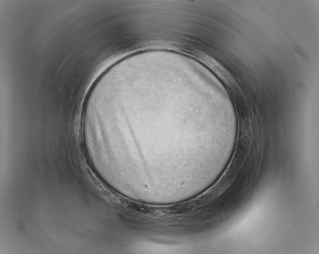 X0000110961052200907101323