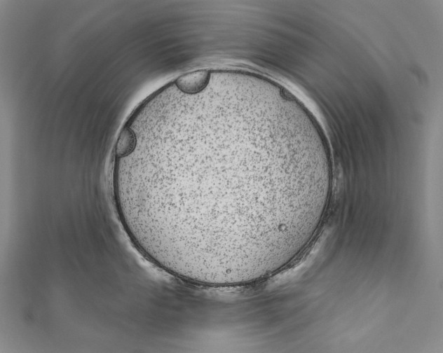 X0000110961053200907101323