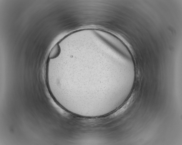 X0000110961054200907101323