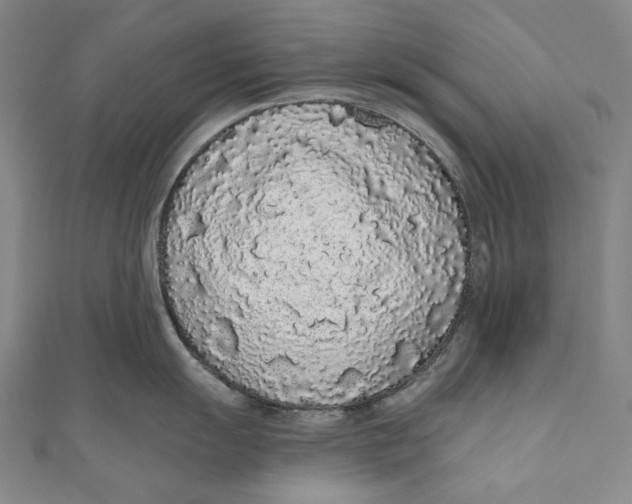 X0000110961055200907101323