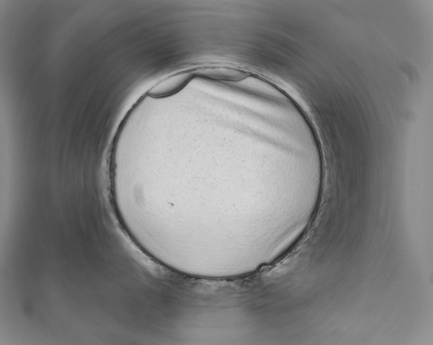 X0000110961056200907101323