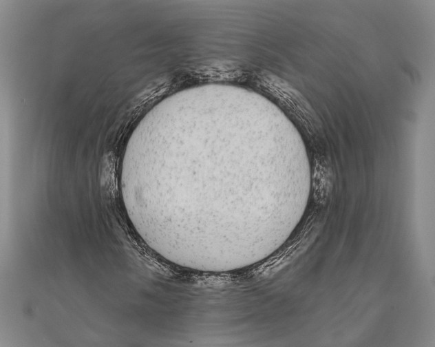 X0000110961058200907101323