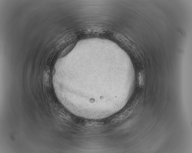 X0000110961059200907101323