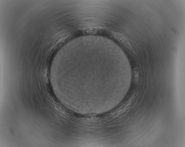 X0000110961060200907101323