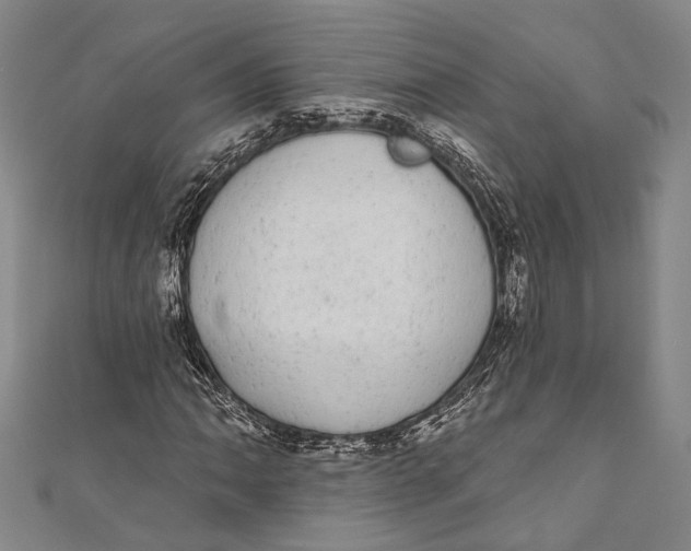 X0000110961062200907101323