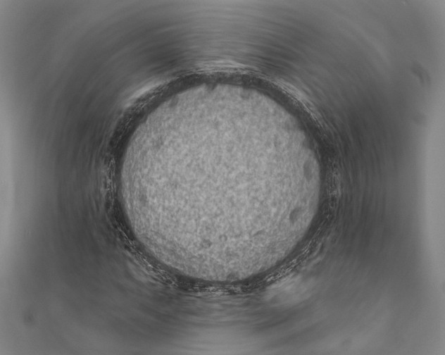 X0000110961063200907101323