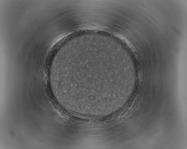 X0000110961064200907101323