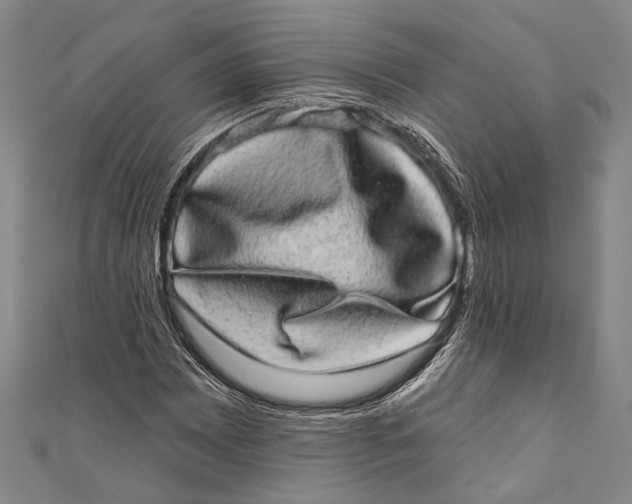 X0000110961065200907101323