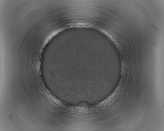 X0000110961066200907101323