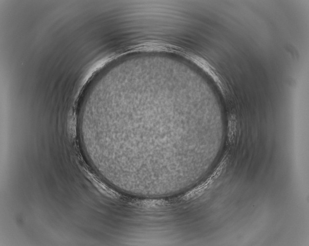 X0000110961067200907101323