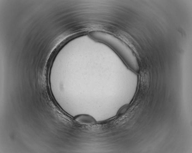 X0000110961068200907101323