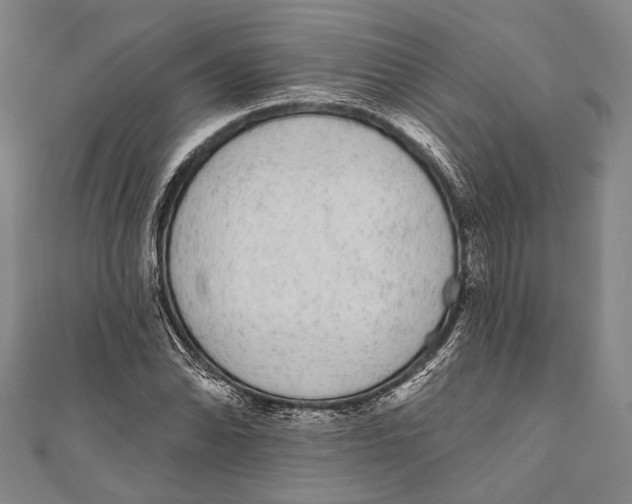 X0000110961070200907101323