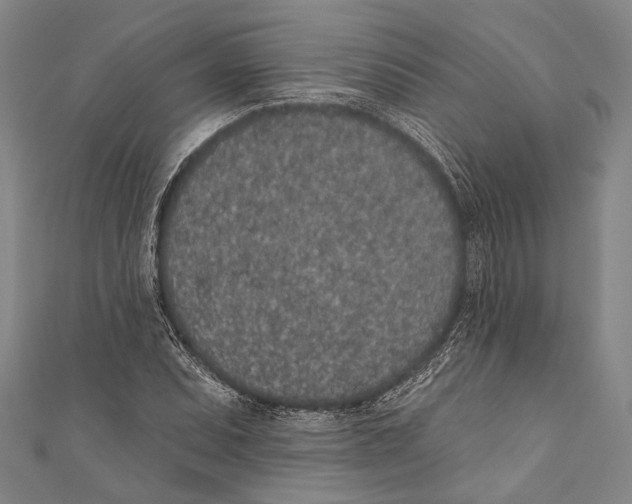 X0000110961071200907101323