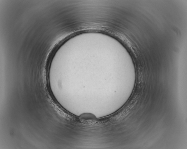 X0000110961072200907101323