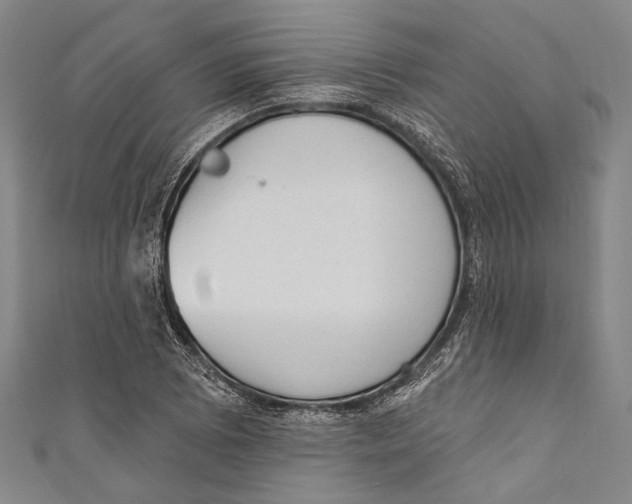 X0000110961073200907101323