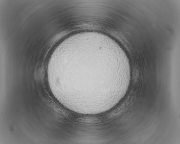 X0000110961074200907101323