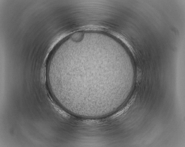 X0000110961075200907101323