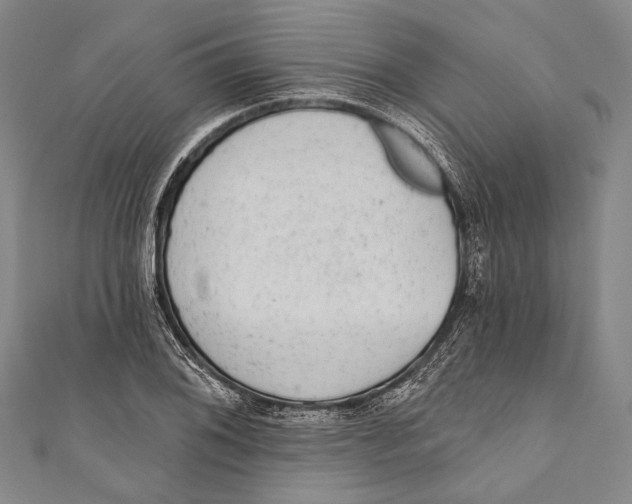 X0000110961076200907101323