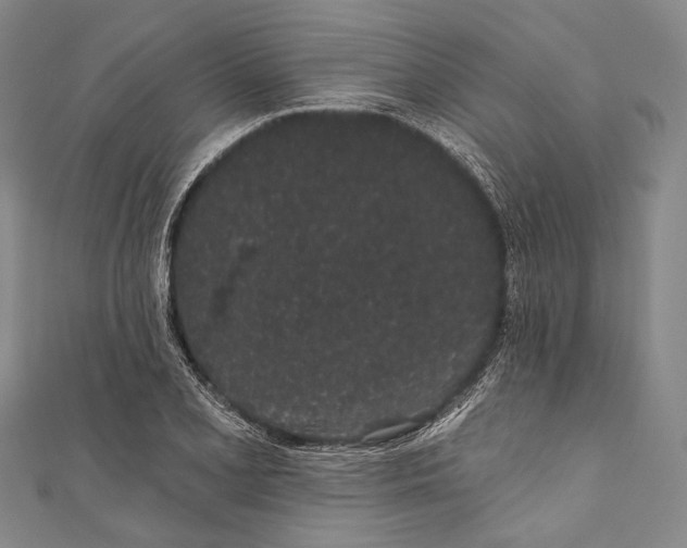 X0000110961077200907101323