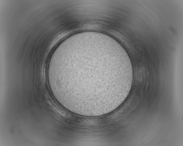 X0000110961078200907101323