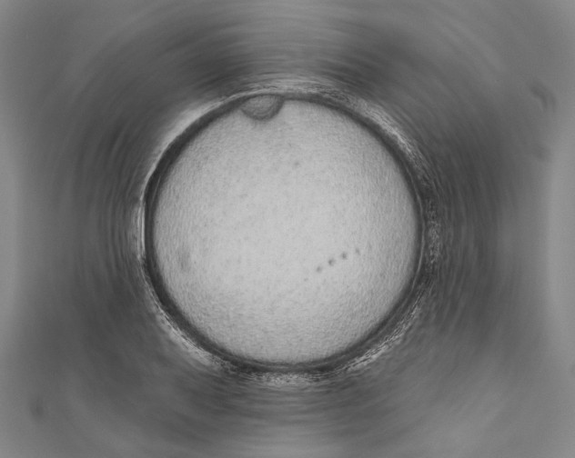 X0000110961079200907101323