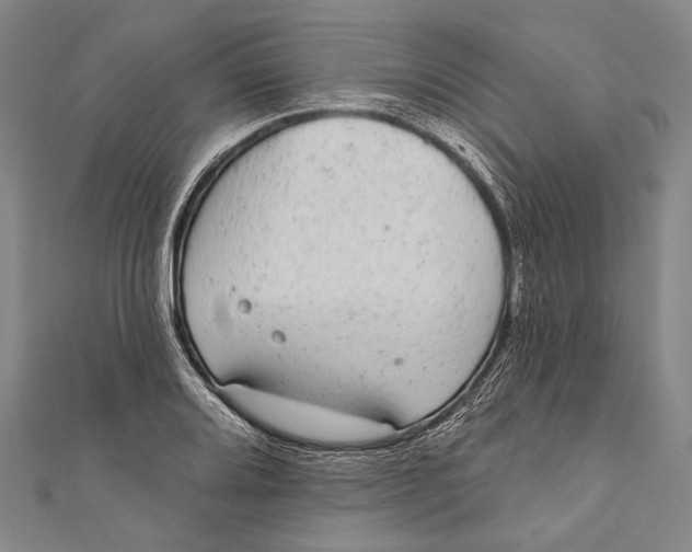 X0000110961080200907101323