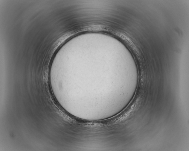 X0000110961081200907101322